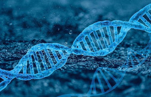 摩珈生物宣布完成b輪融資 淡馬錫領(lǐng)投
